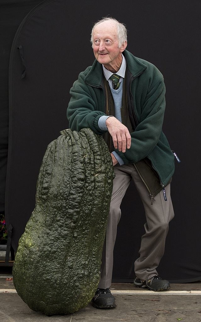 Man kneeling on an enormous, upright green squash
