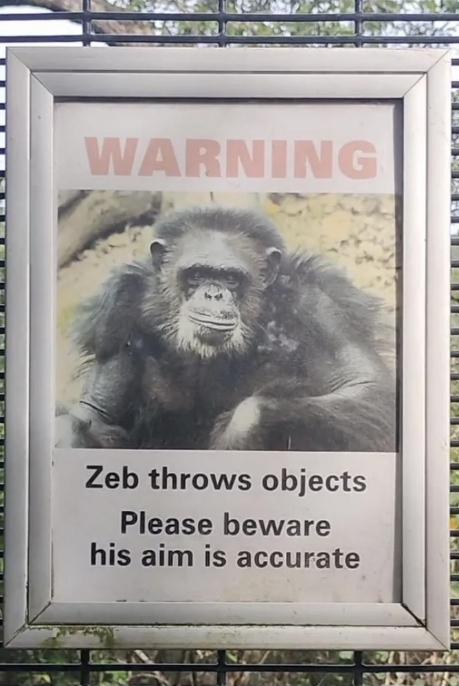 Sign has a gorilla photo and says, Zeb throws objects. Please beware his aim is accurate