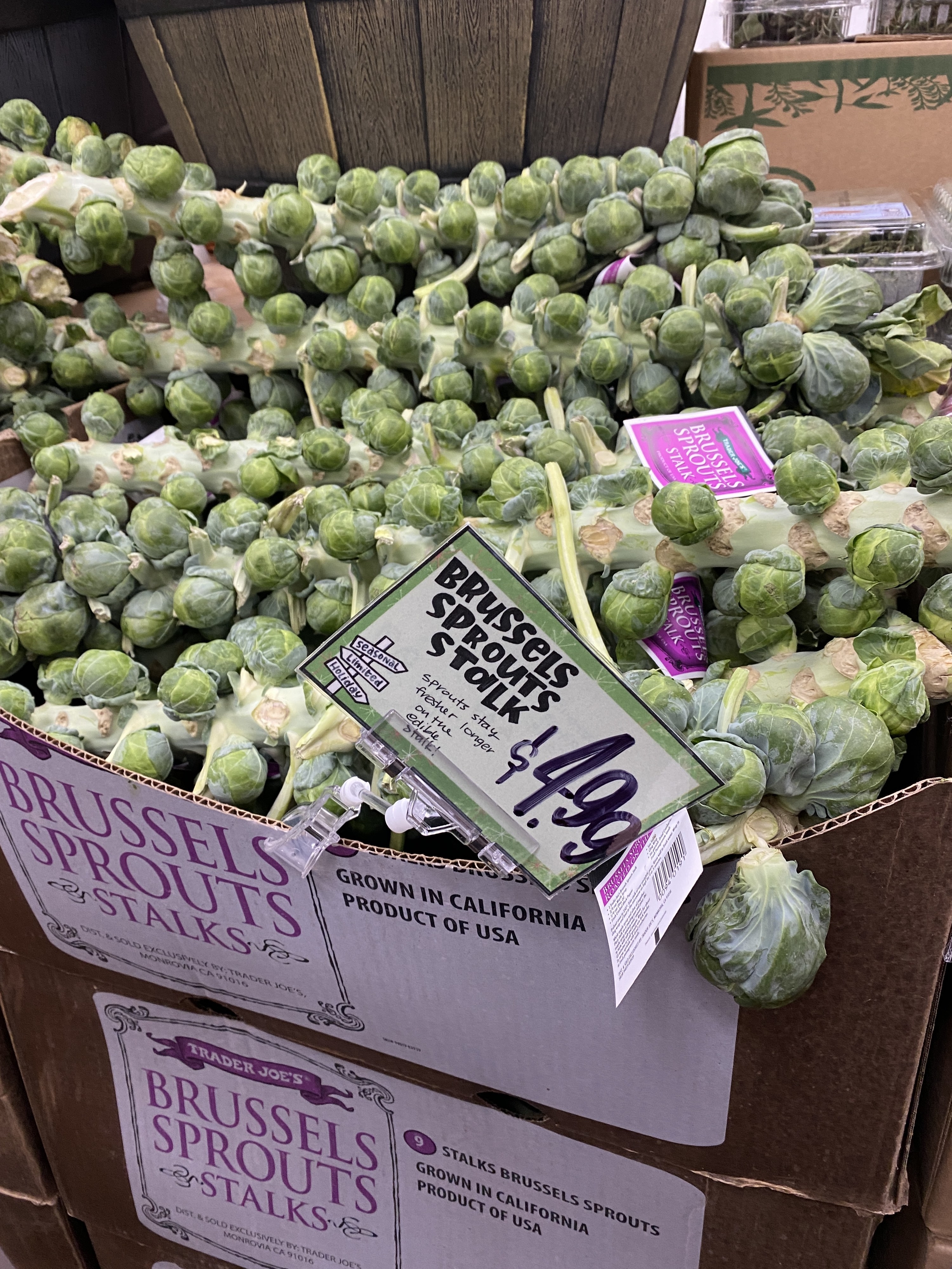 box of brussels sprouts stalks