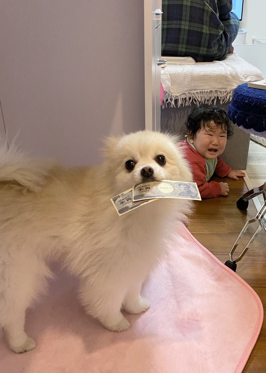 赤犬くん※7/21更新 hqdefault.jpg