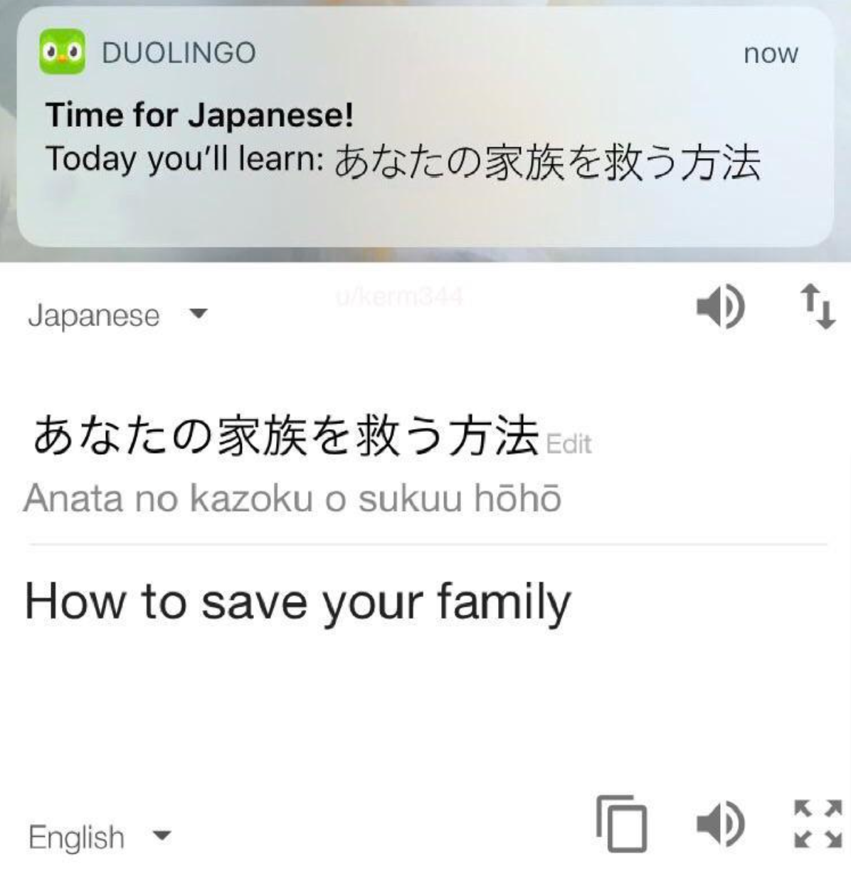 Meme text message from Duolingo that says &quot;How to save your family&quot; in Japanese