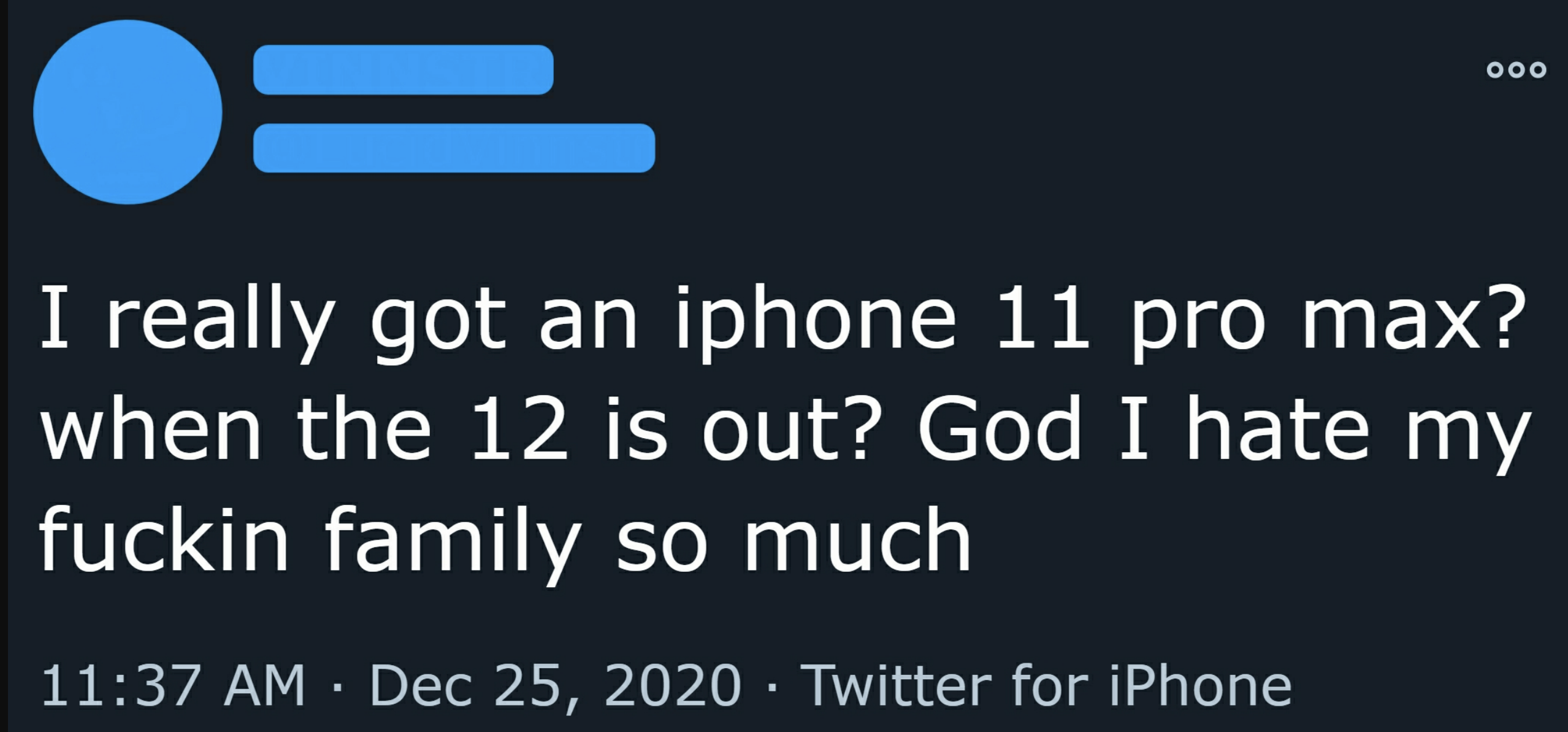 Comment: &quot;I really got an iphone 11 pro max? when the 12 is out? God I hate my fuckin family so much&quot;