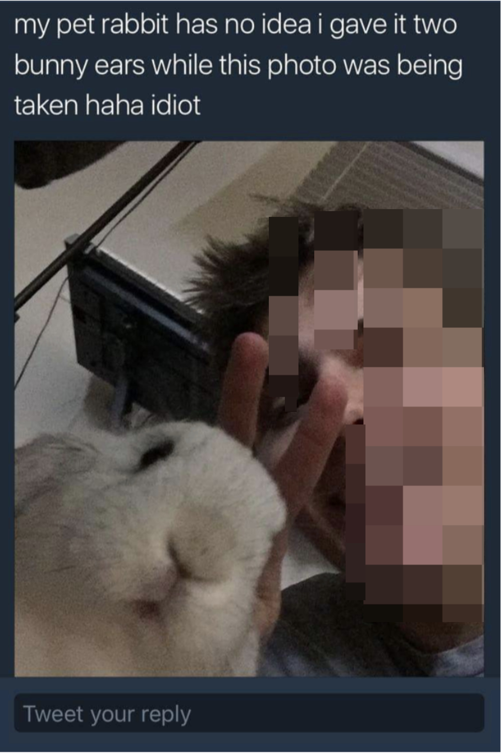 selfie of a guy putting up &quot;bunny ears&quot; peace sign behind his pet bunny