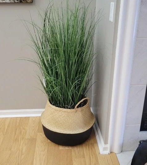 The basket with grass inside