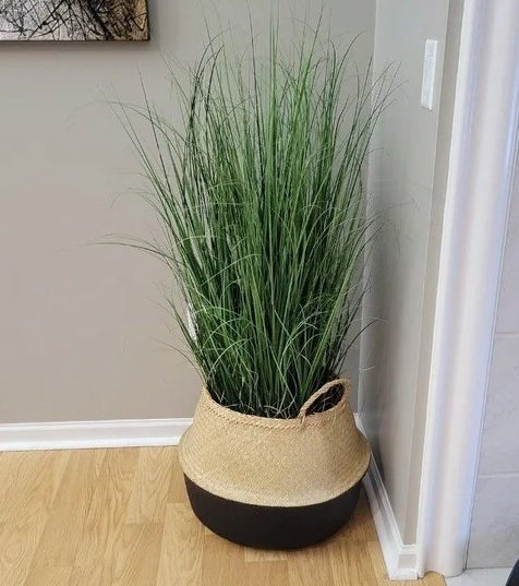 The basket with grass inside