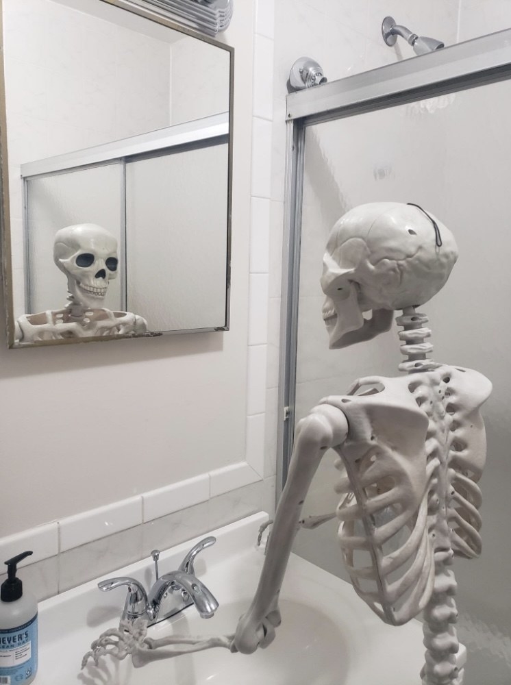 A skeleton in a bathroom