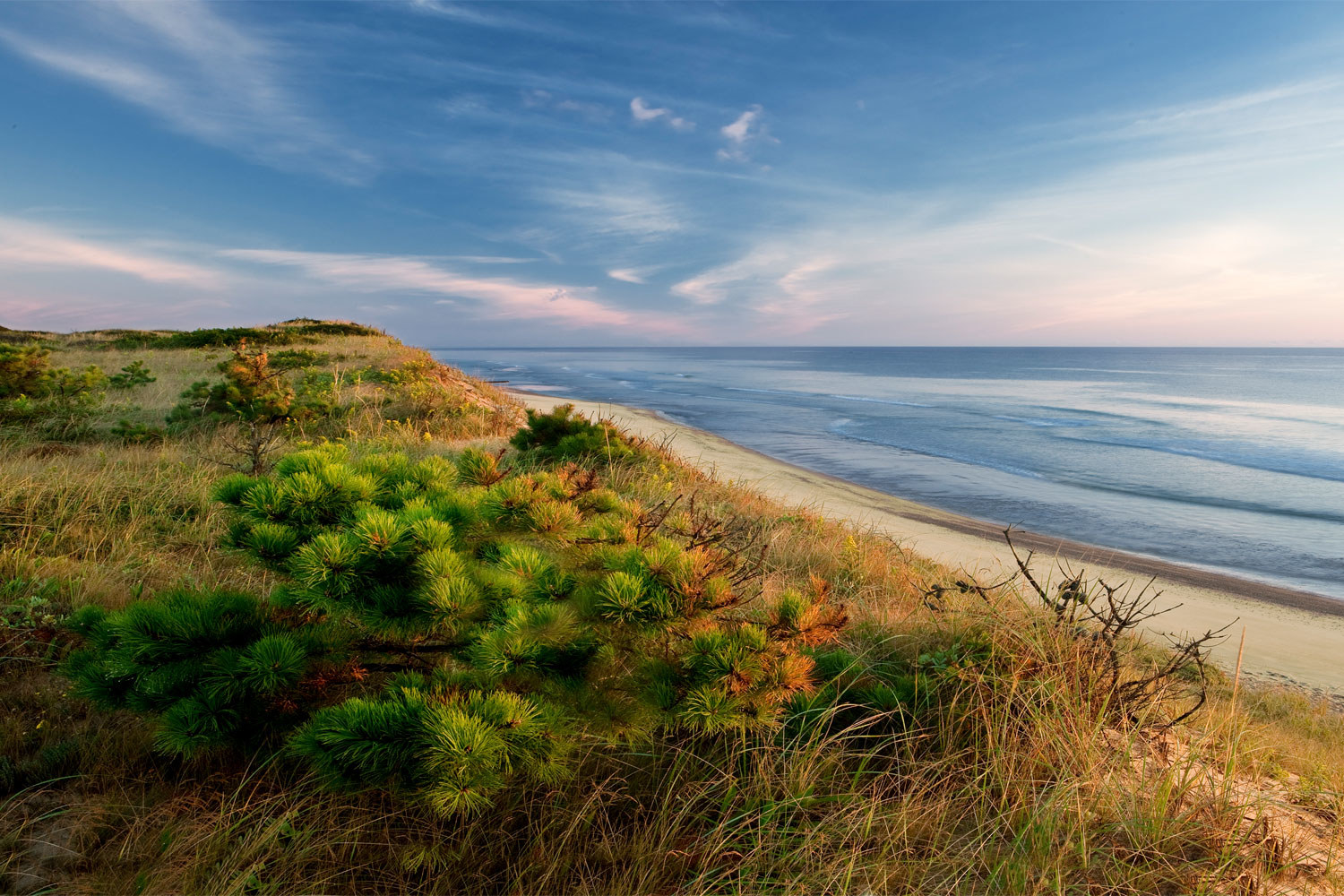 Cape Cod seashore and dunes.