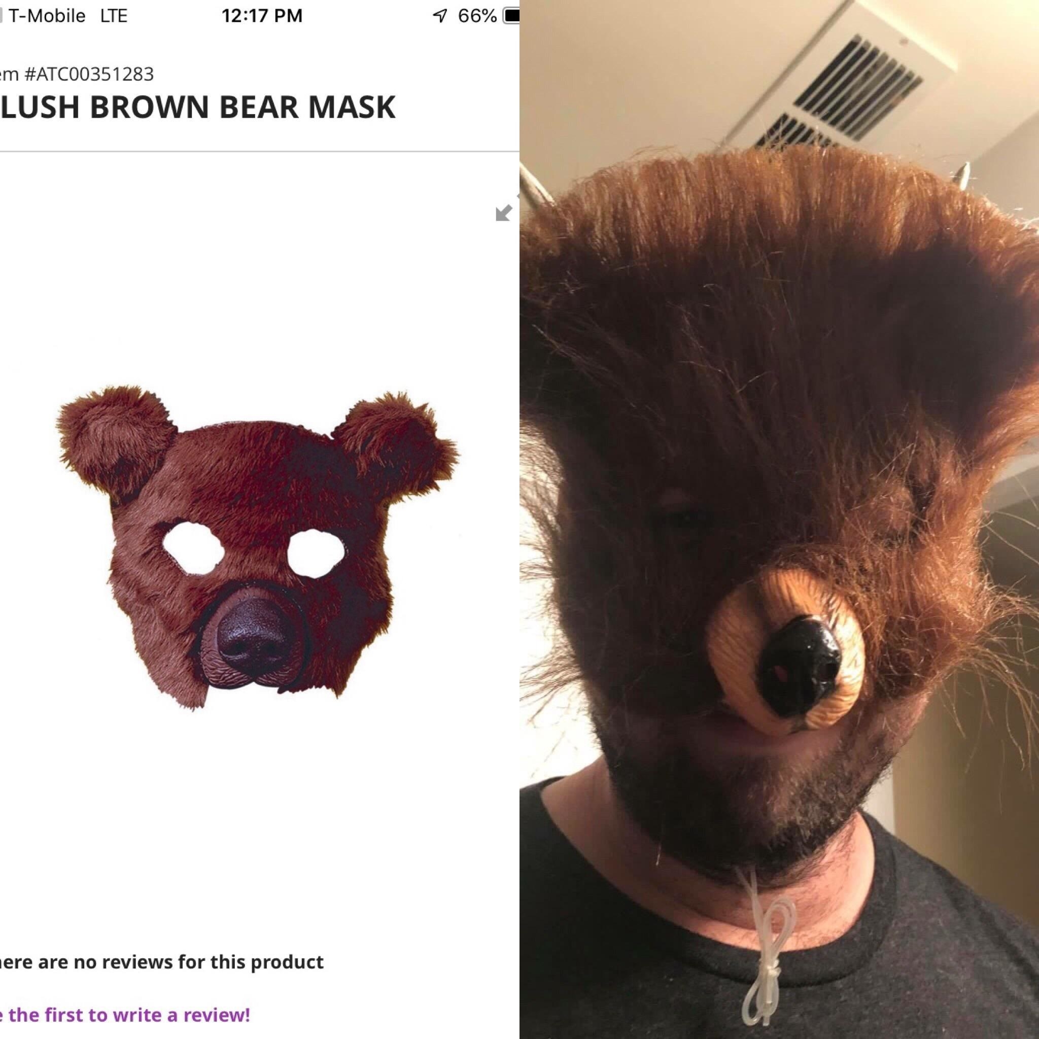 A bear mask
