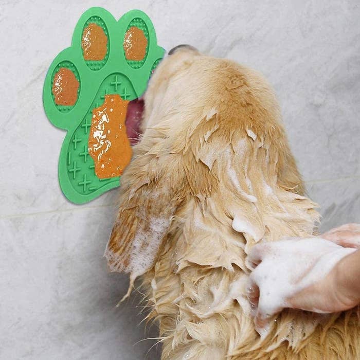 The dog licking peanut butter off the mat on a shower wall