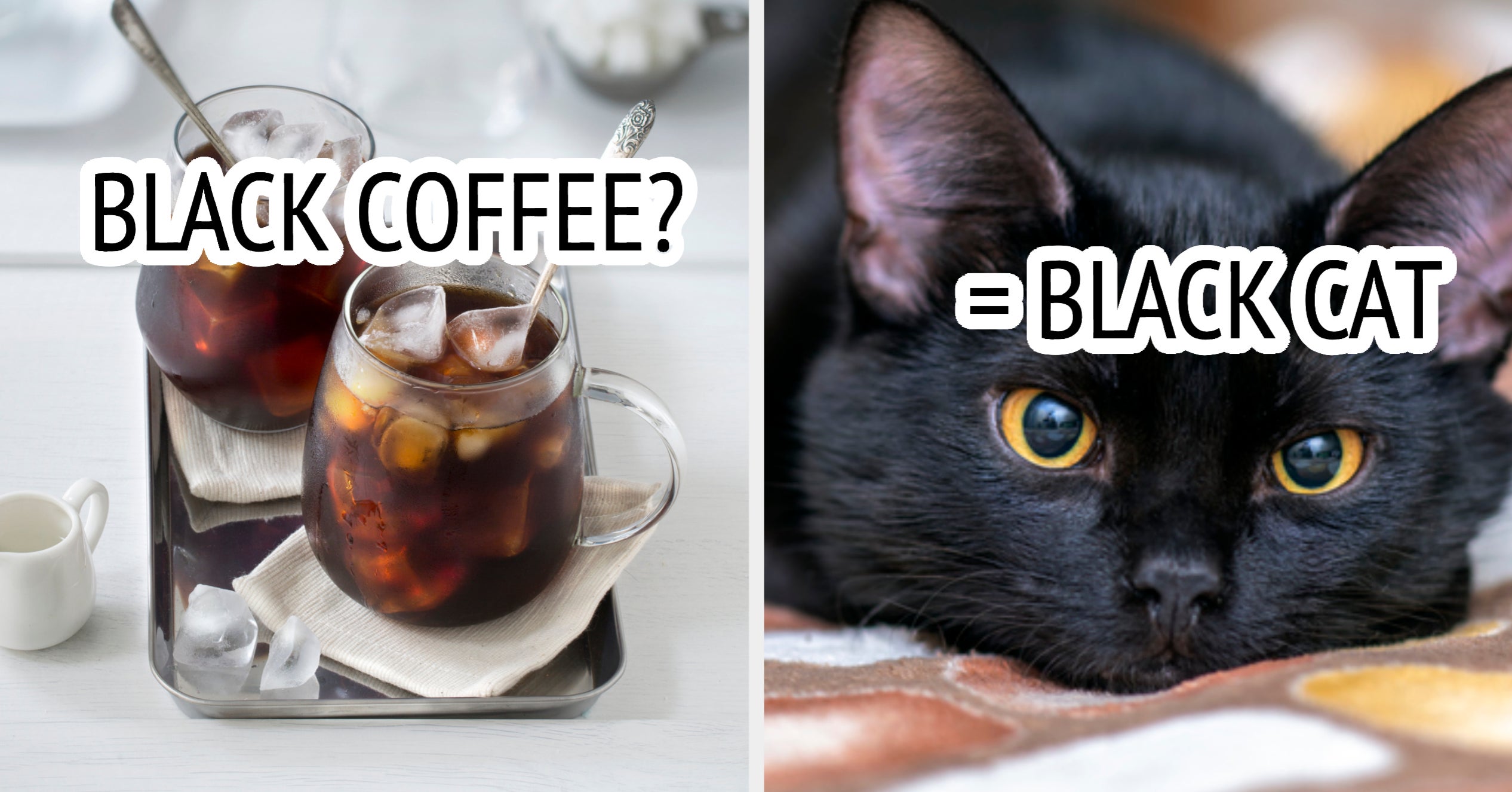 What Kind Of Cat Are You? Design A Quirky Cafe Under 100K To Find Out