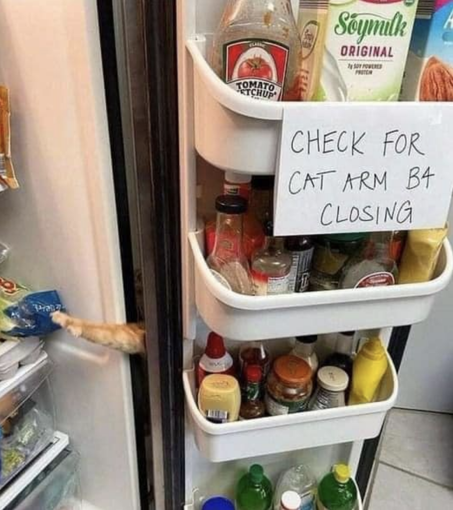 A cat arm reaches into the fridge. Sign says, Check for cat arm before closing.