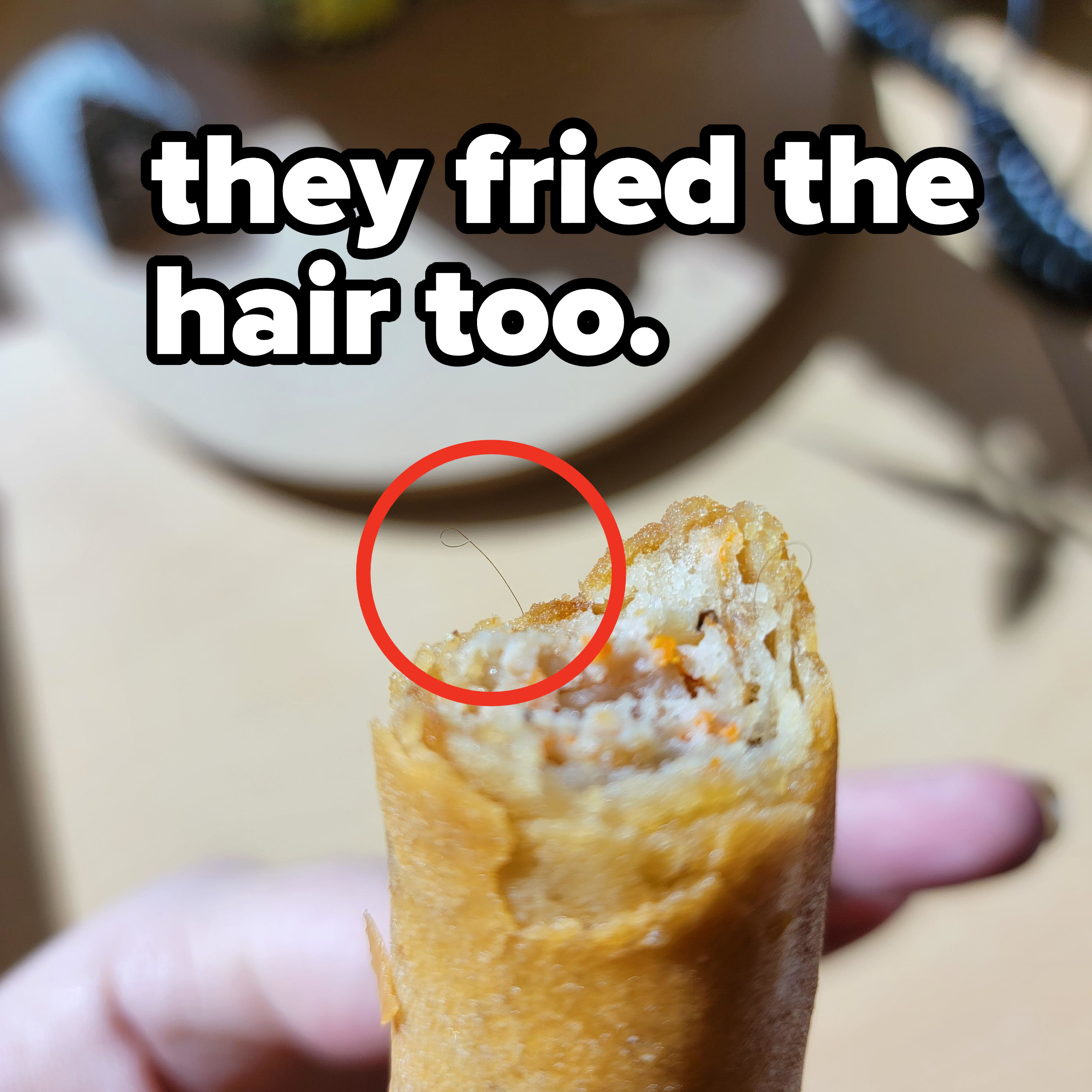 A piece of hair coming out of a fried egg roll