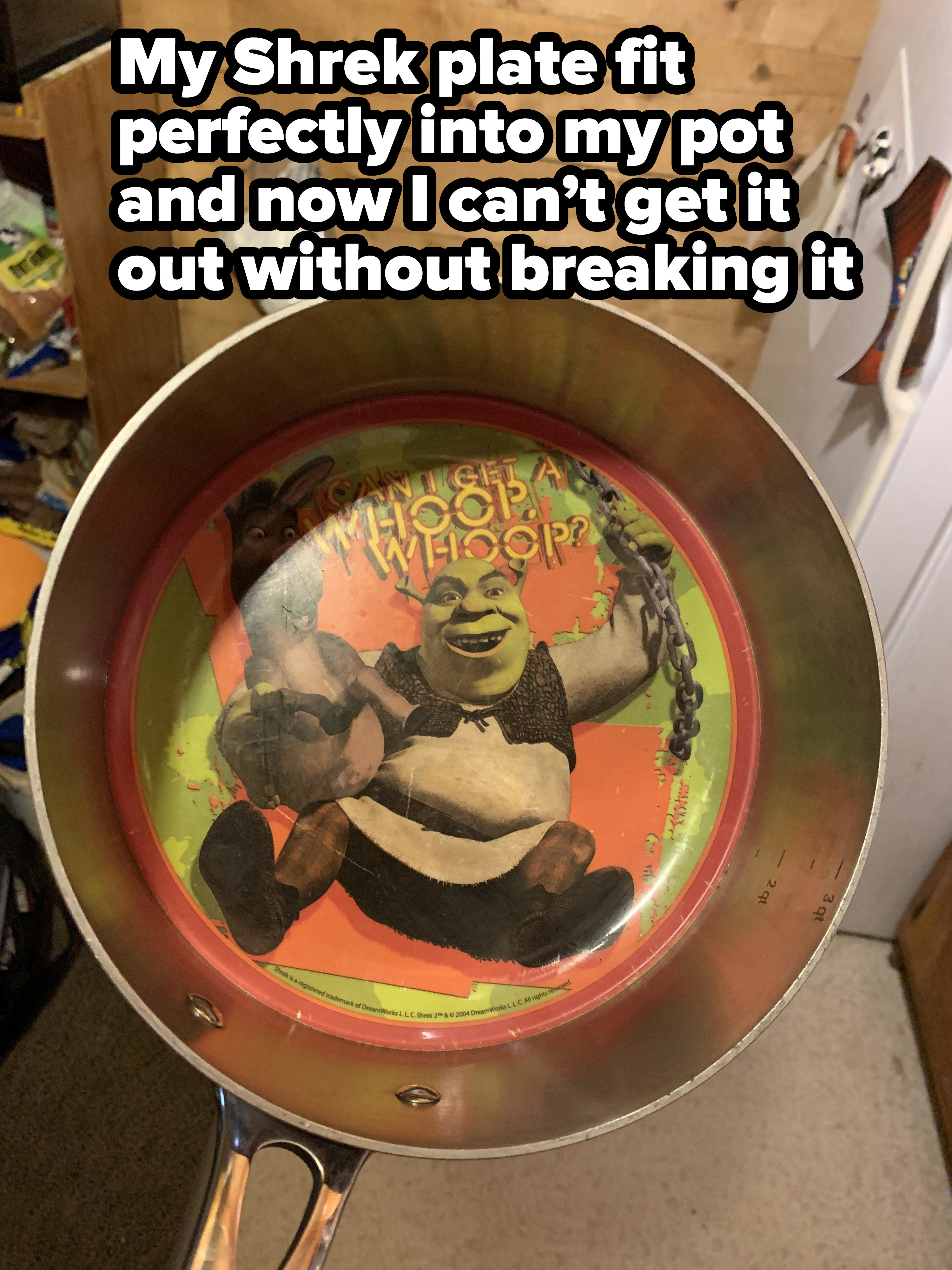 A Shrek plate, perfectly affixed into the bottom of a pan, that can&#x27;t be removed without breaking it