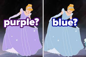 Two Cinderellas labeled "purple" and "blue"