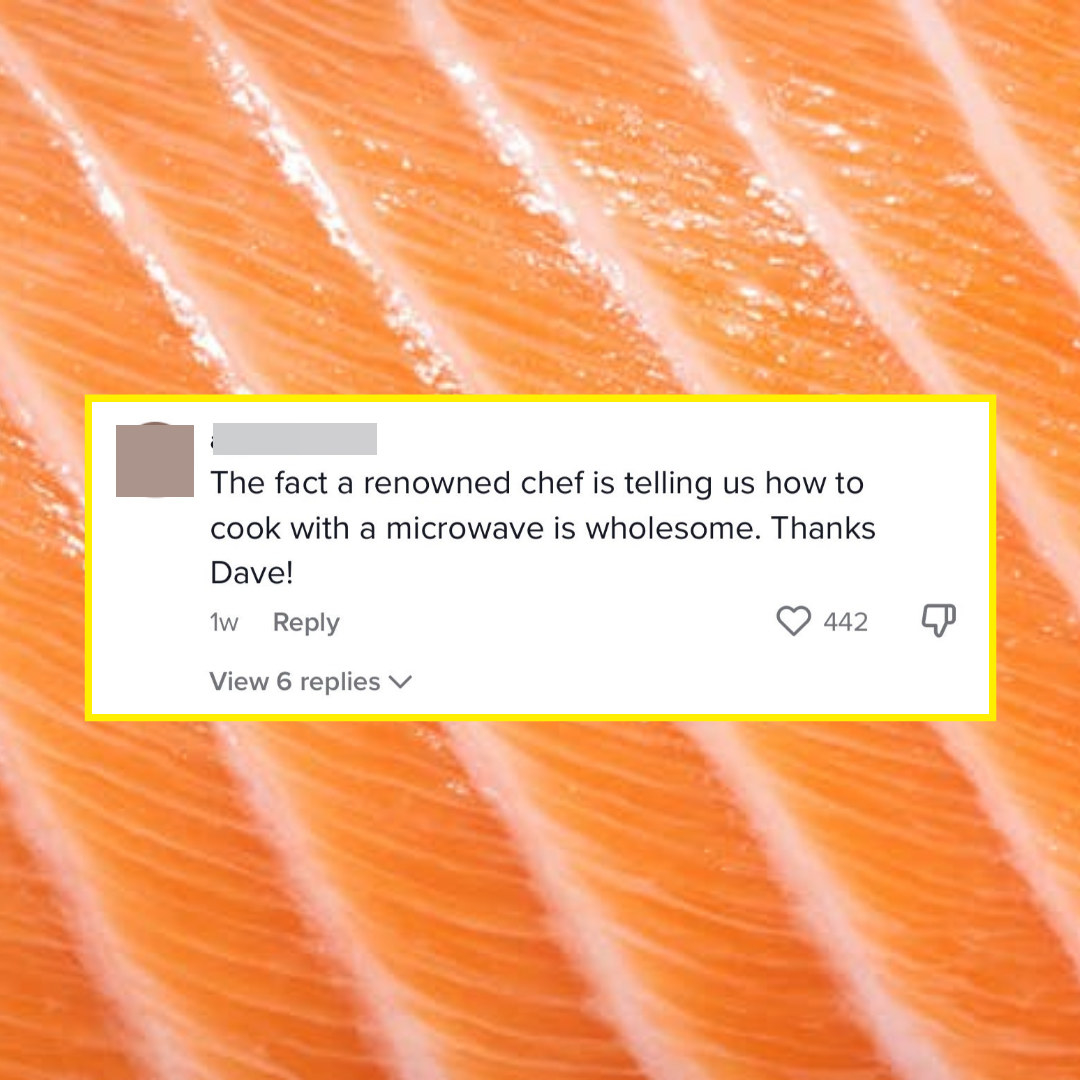 comment saying &quot;the fact that a renowned chef is telling us how to cook with a microwave is wholesome. thanks dave!&quot;