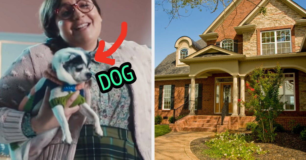 Home Design Reveal Perfect Pet Quiz