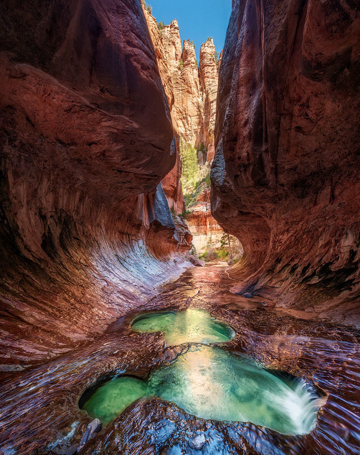 A canyon in Zion National Park.