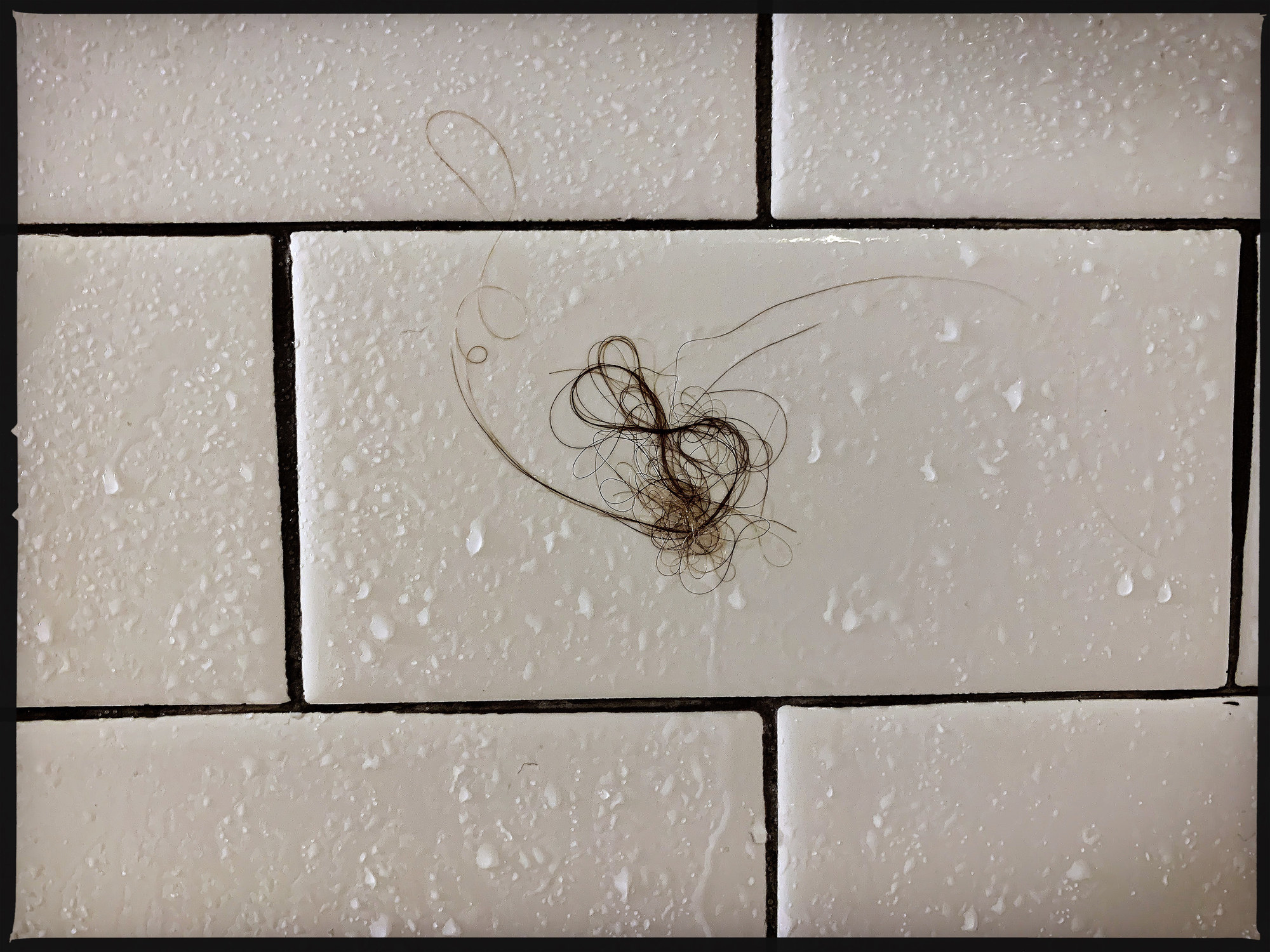 Hair on a shower wall