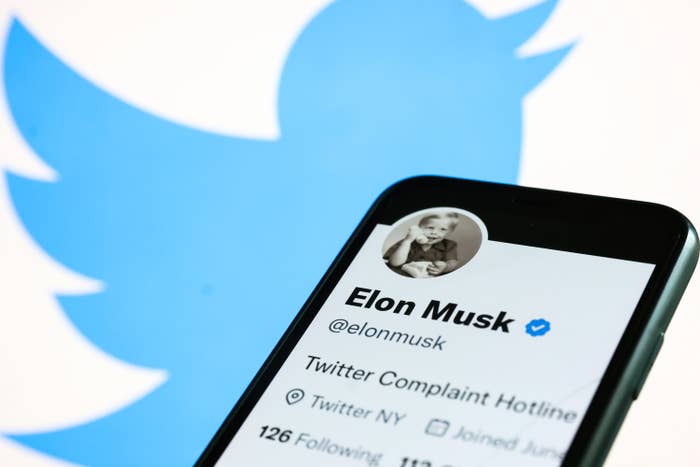 Elon Musk&#x27;s Twitter page