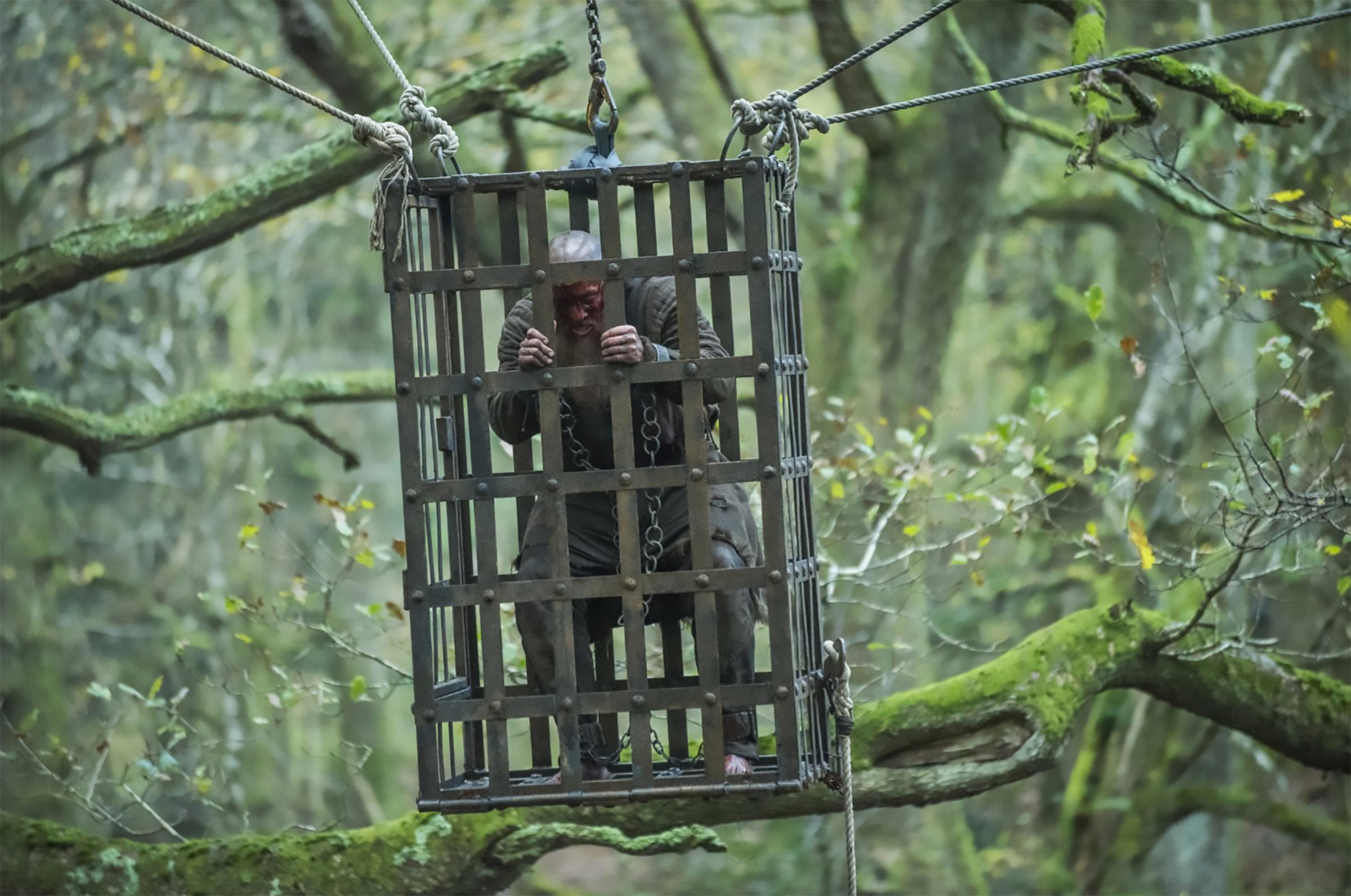 A bald and bearded man is suspended in a cage hanging from a large tree