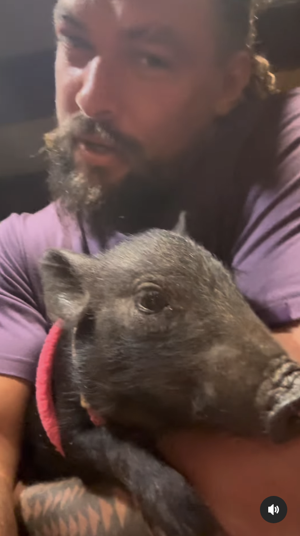 Jason Momoa Adopted A Pig  And It s So Cute - 26