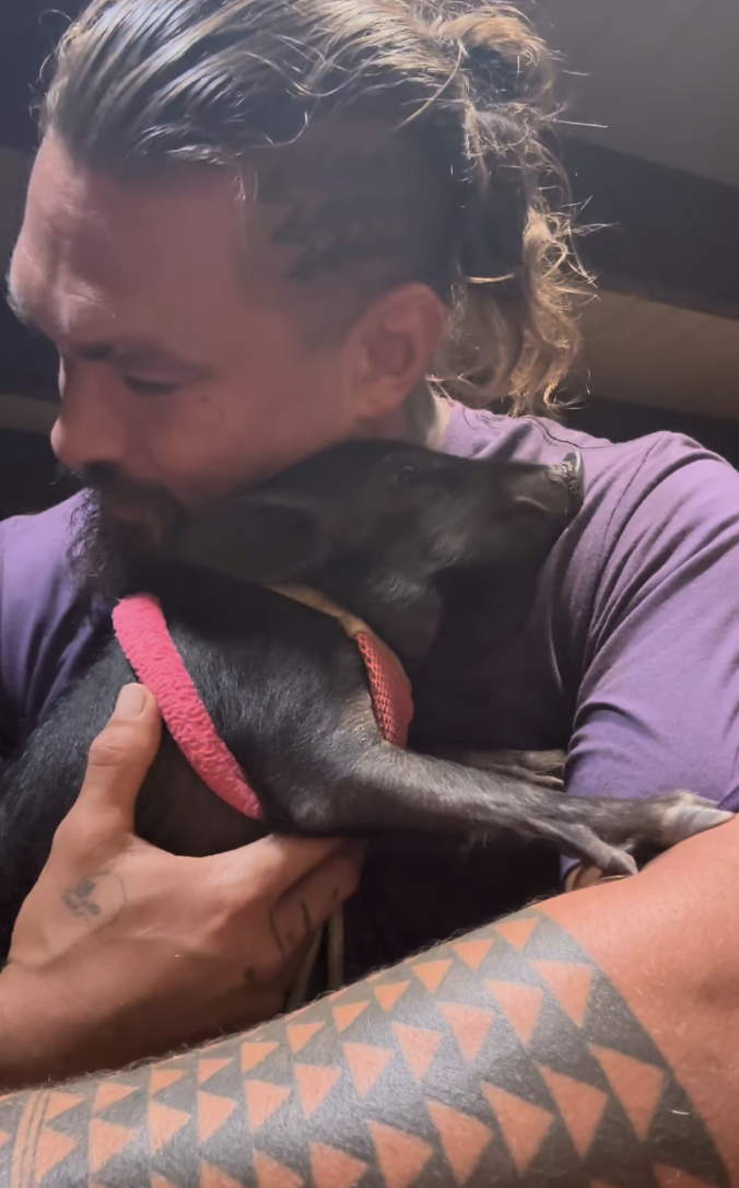 Jason Momoa Adopted A Pig  And It s So Cute - 18