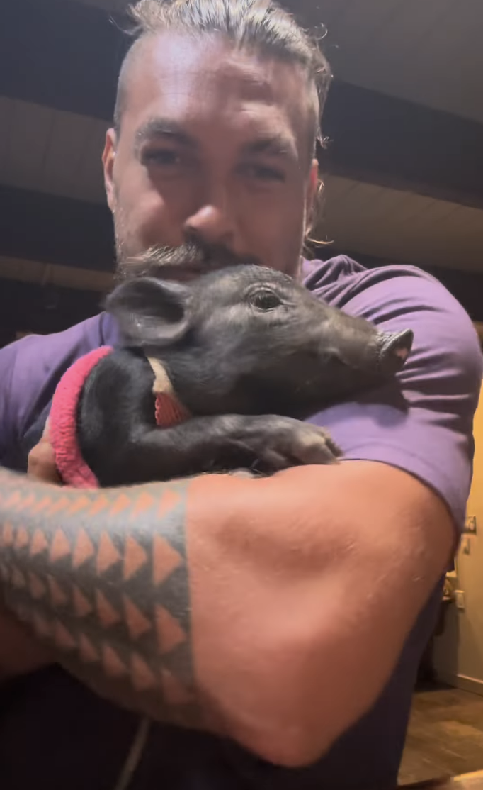 Jason Momoa Adopted A Pig  And It s So Cute - 66