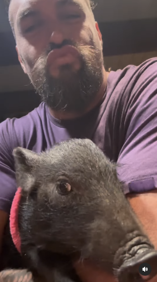 Jason Momoa Adopted A Pig  And It s So Cute - 14