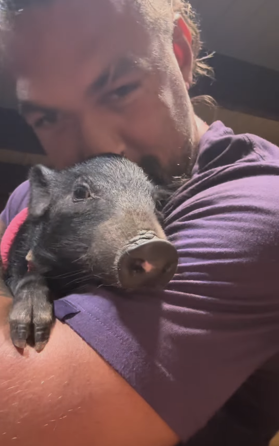 Jason Momoa Adopted A Pig  And It s So Cute - 94