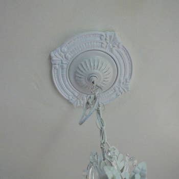 Reviewer photo of the medallion installed