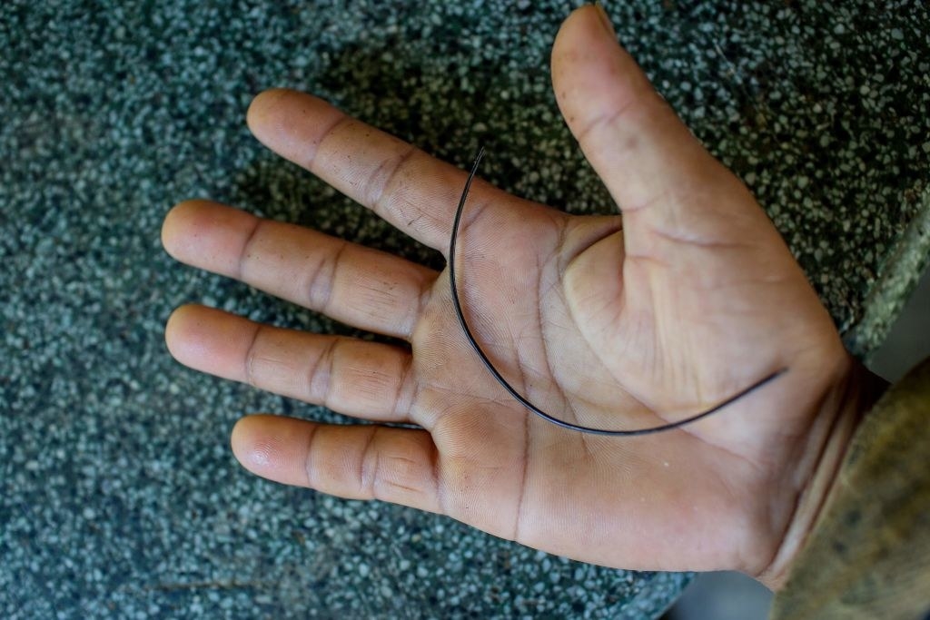 A rounded hair in the palm of a hand