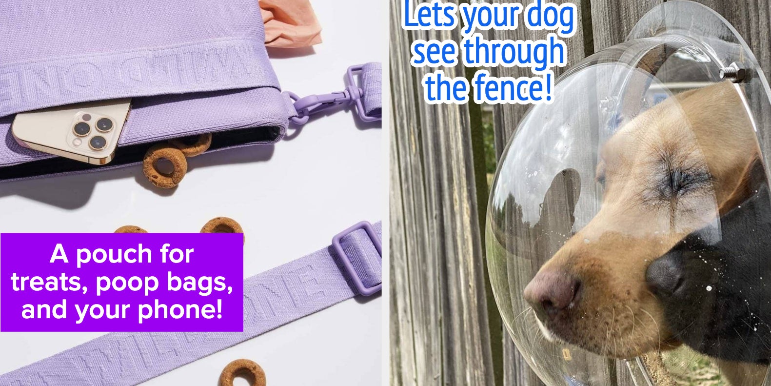 36 Cool And Unique Products For Your Dog