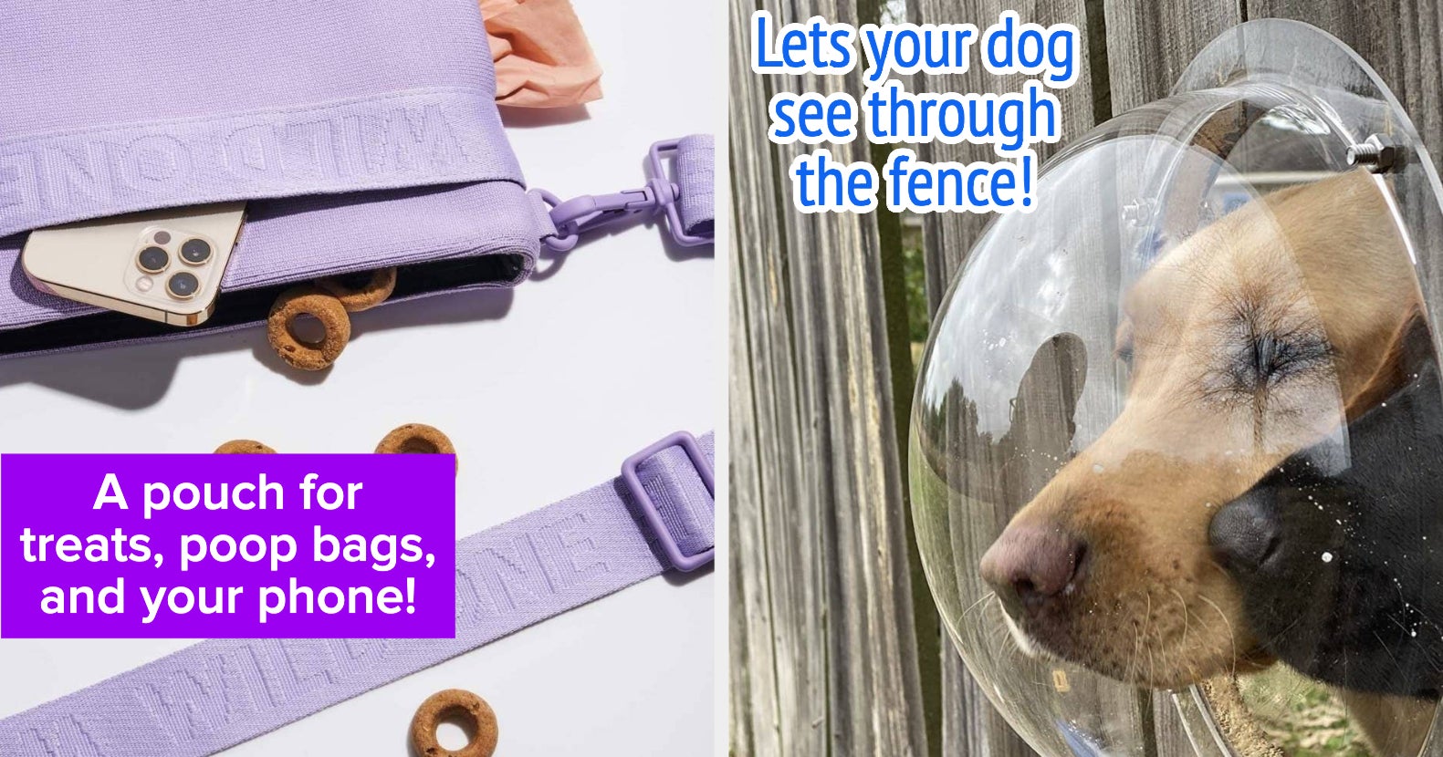 36 Cool And Unique Products For Your Dog