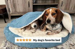 Reviewer's dogs cuddled into a dog bed with a hood