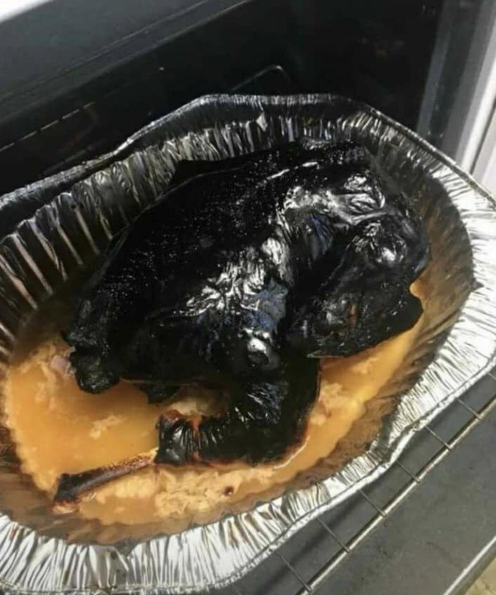 incredibly burnt turkey