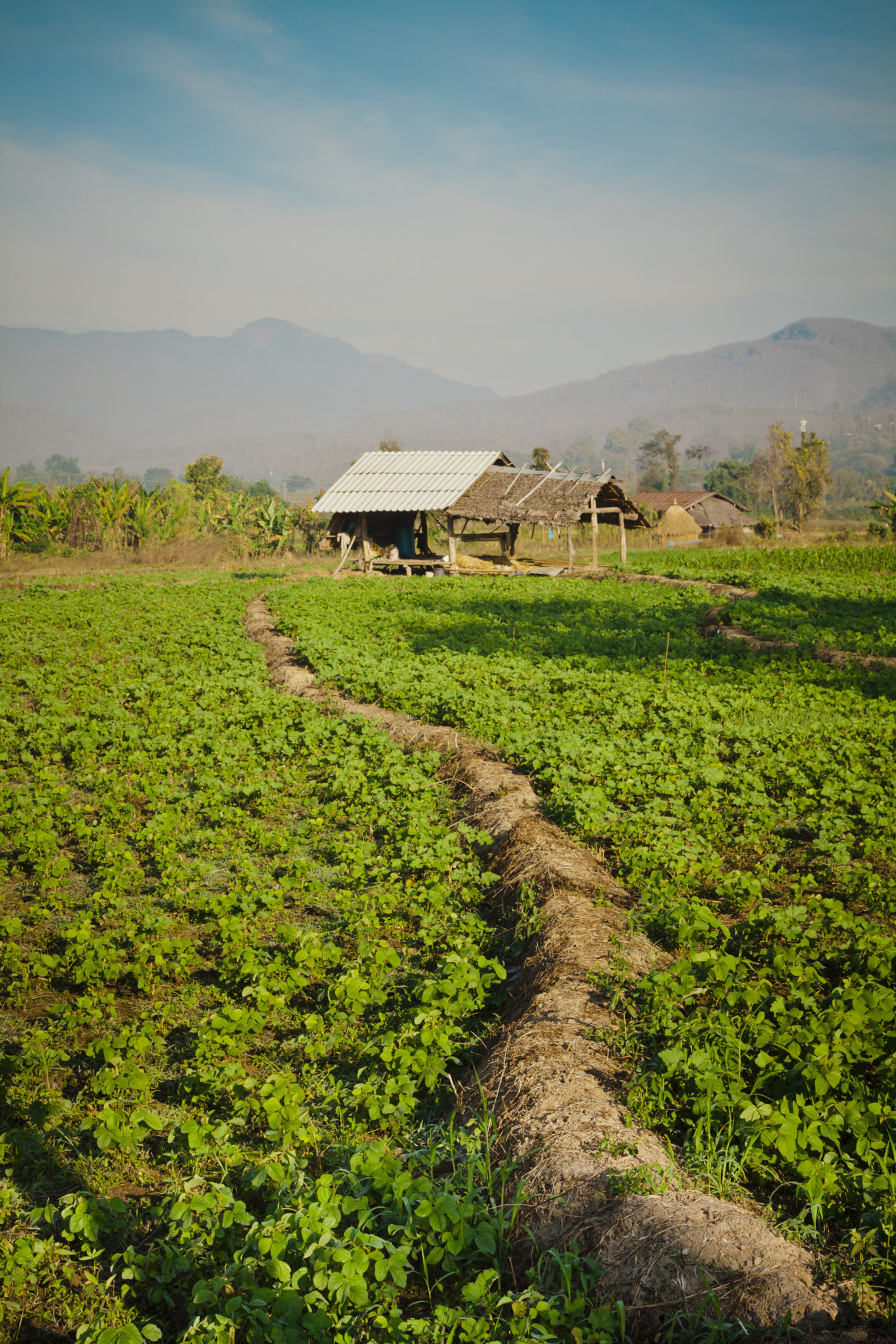 A small farm in the countryside of Pai, Thailand