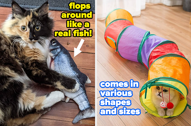 a reviewer's cat with a robotic fish toy; a cat in a colorful cat tunnel