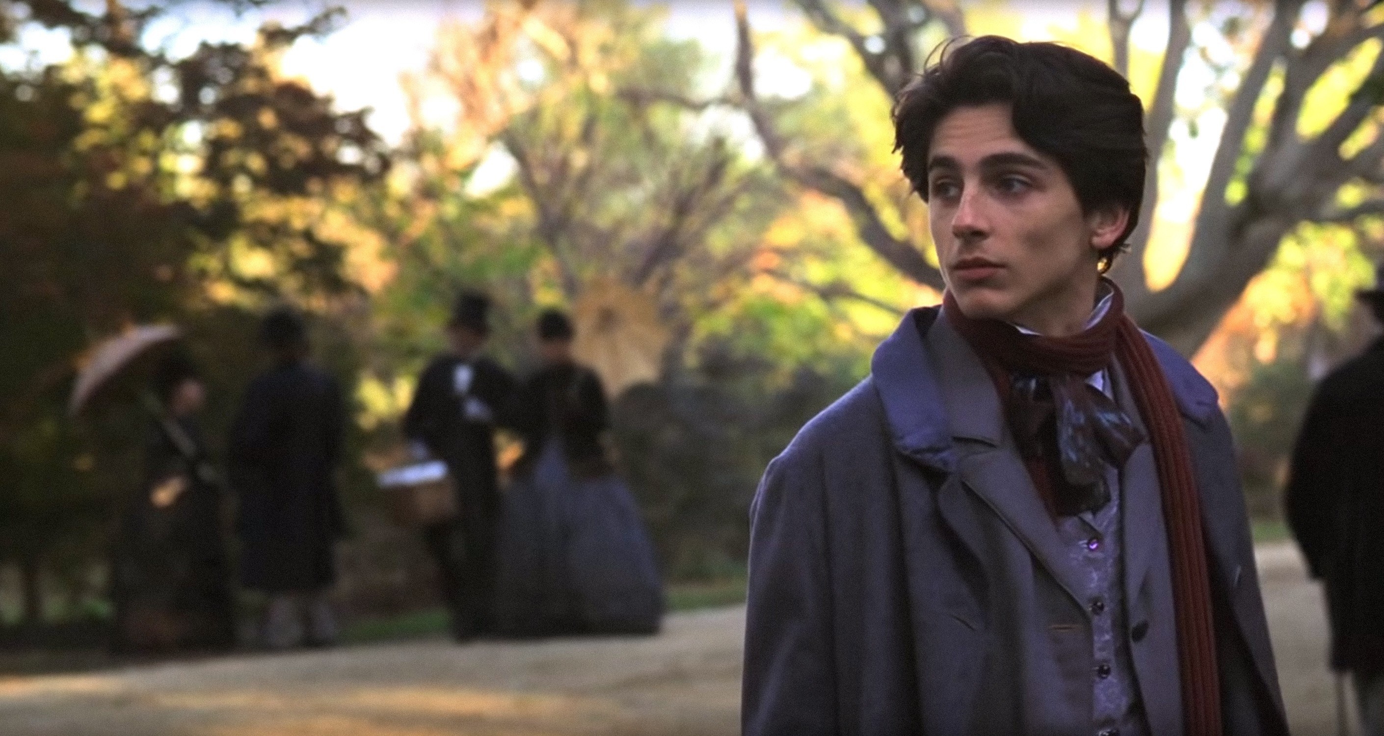 TImothee Chalamet looks over his shoulder wearing 1800s clothes