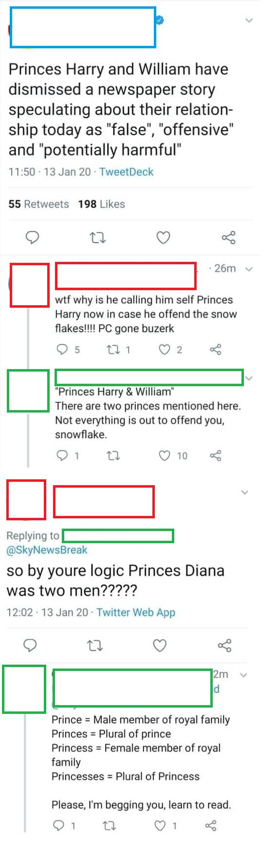 someone teaching the difference between Princes and Princess