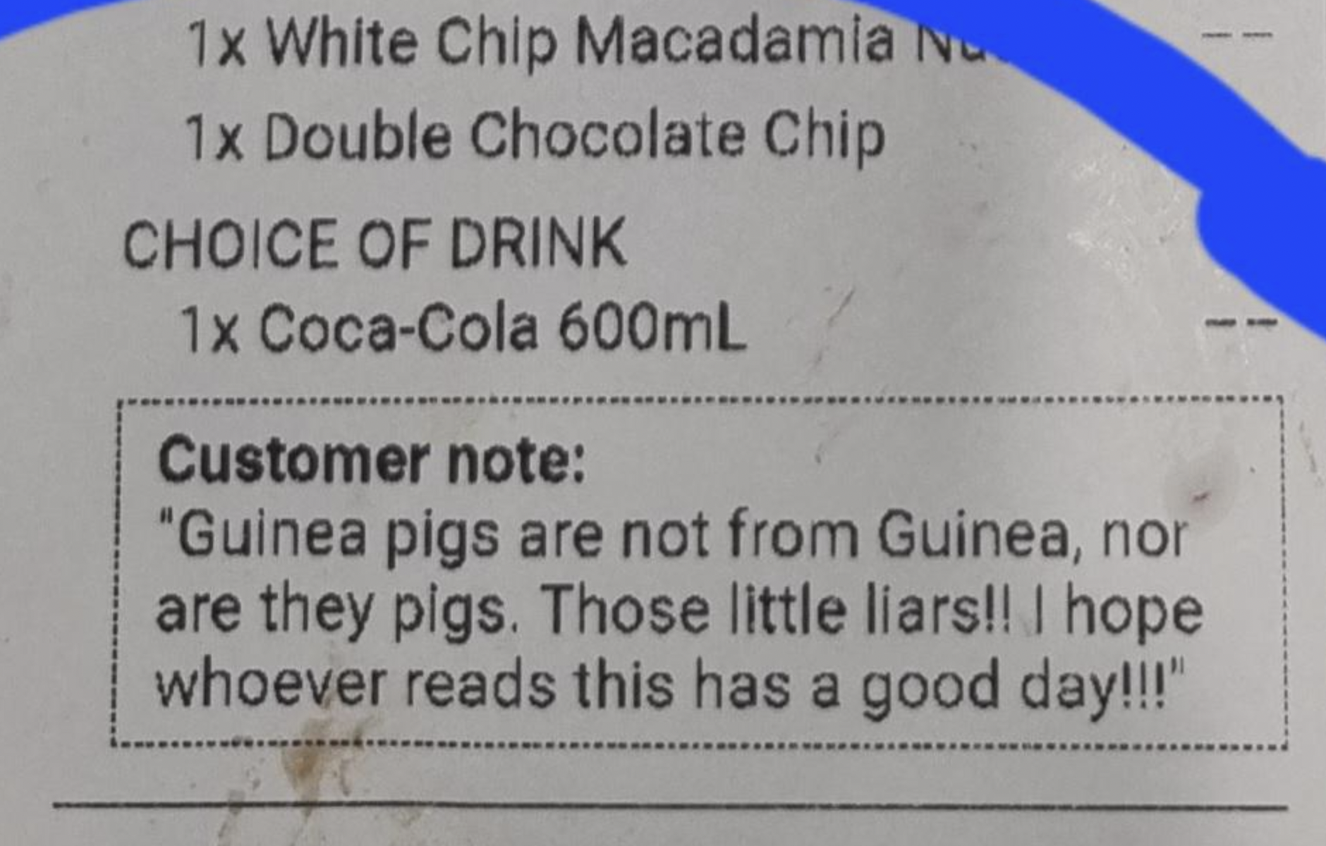 funny receipt with a fun fact