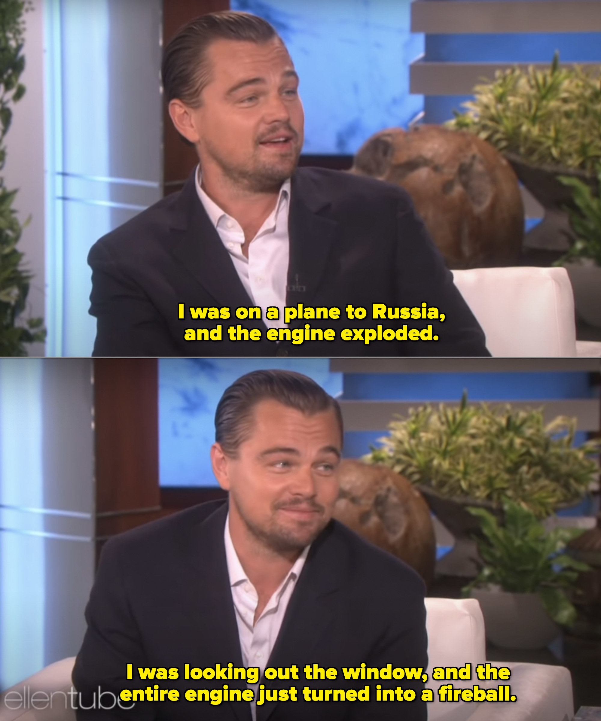 Leo talking to Ellen DeGeneres on her talk show