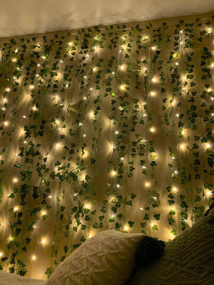 reviewer's wall with hanging garland and lights