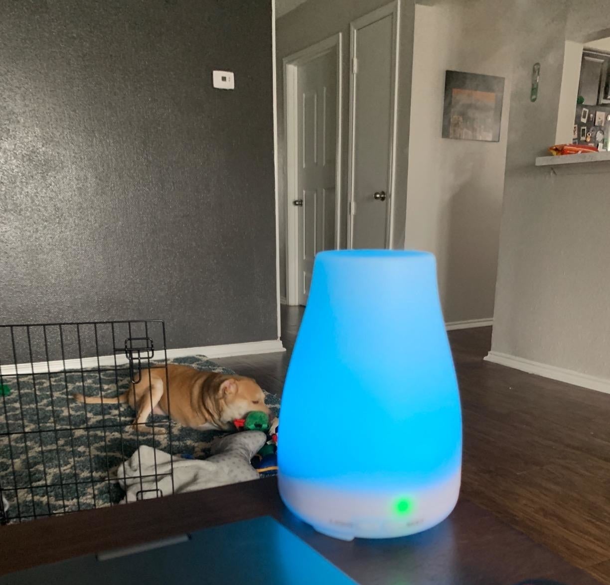 A reviewer&#x27;s diffuser with blue lighting