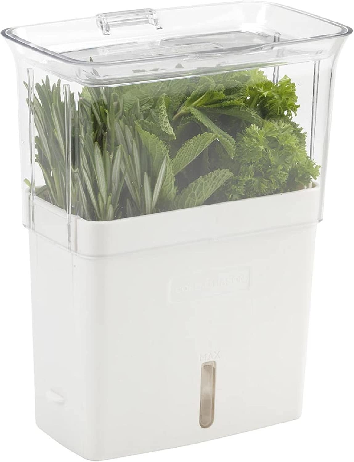a container with herbs