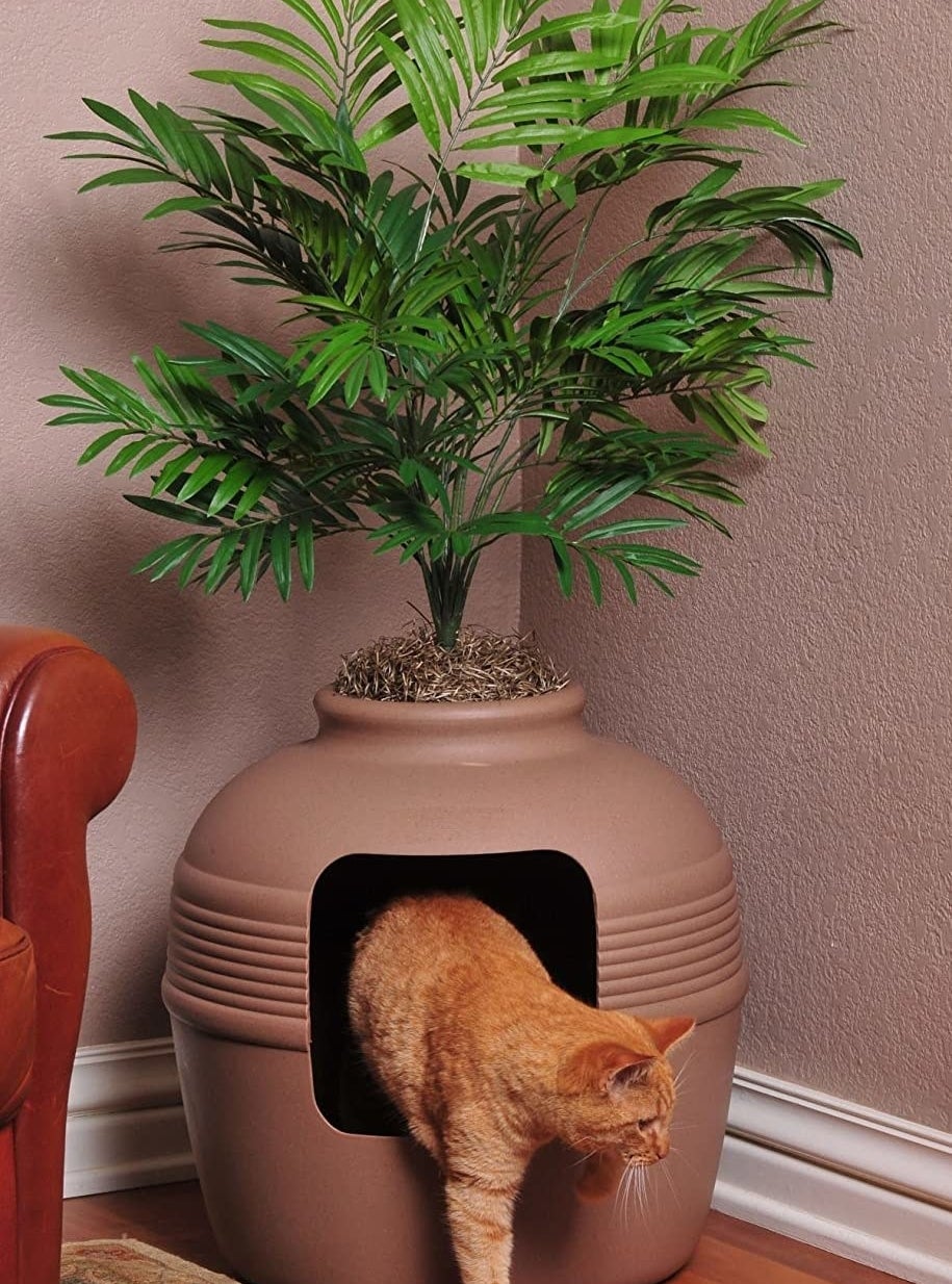 a cat jumping out of the plant pot litter box