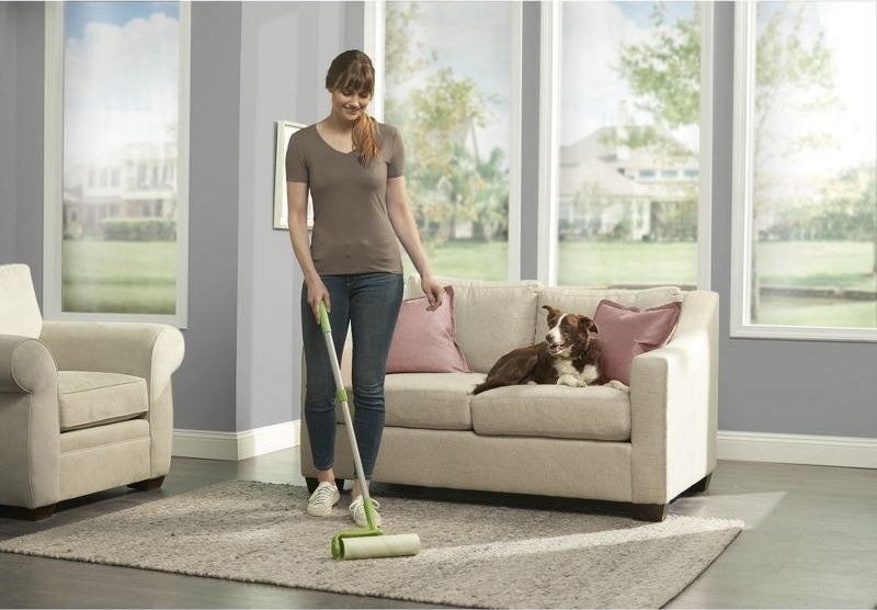 a model using the roller on a rug next to a couch with a dog