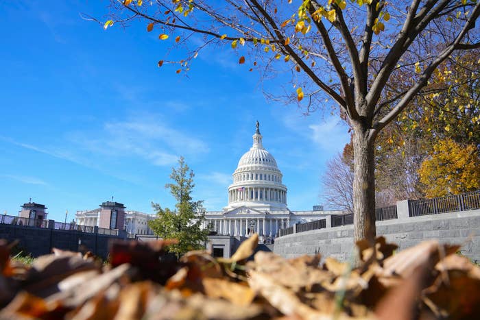 The US Capitol in the distance with dead leaves on the ground in the blurry foreground