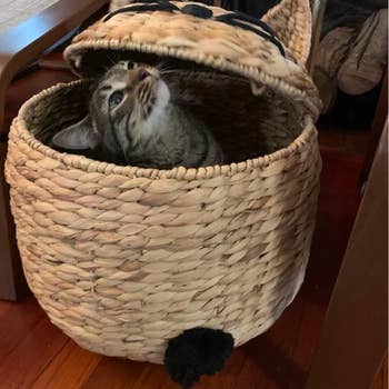 Reviewer's photo of the cat basket with an actual cat inside