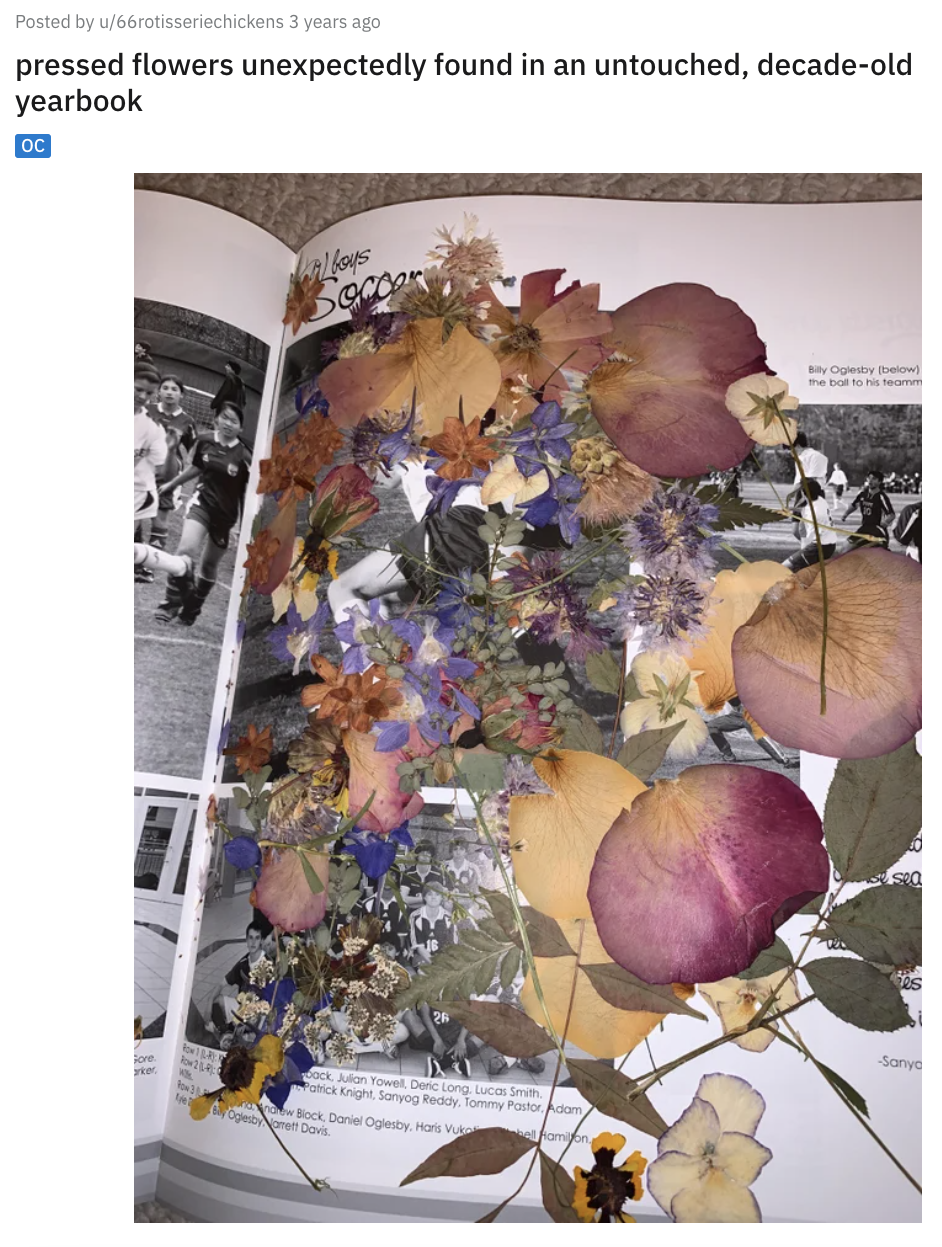 Pressed flowers in a yearbook