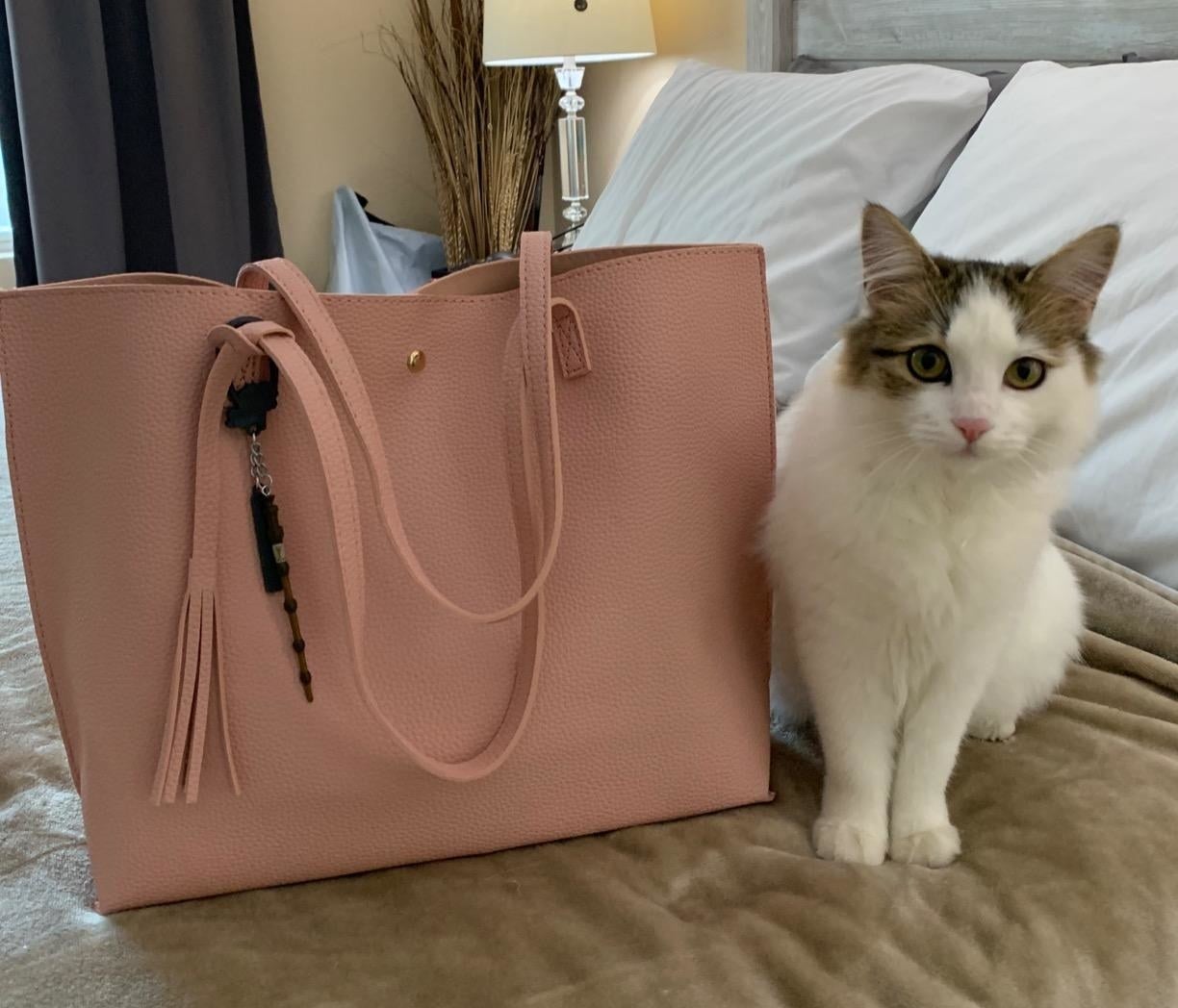 Reviewer image of pink tote bag next to a cat